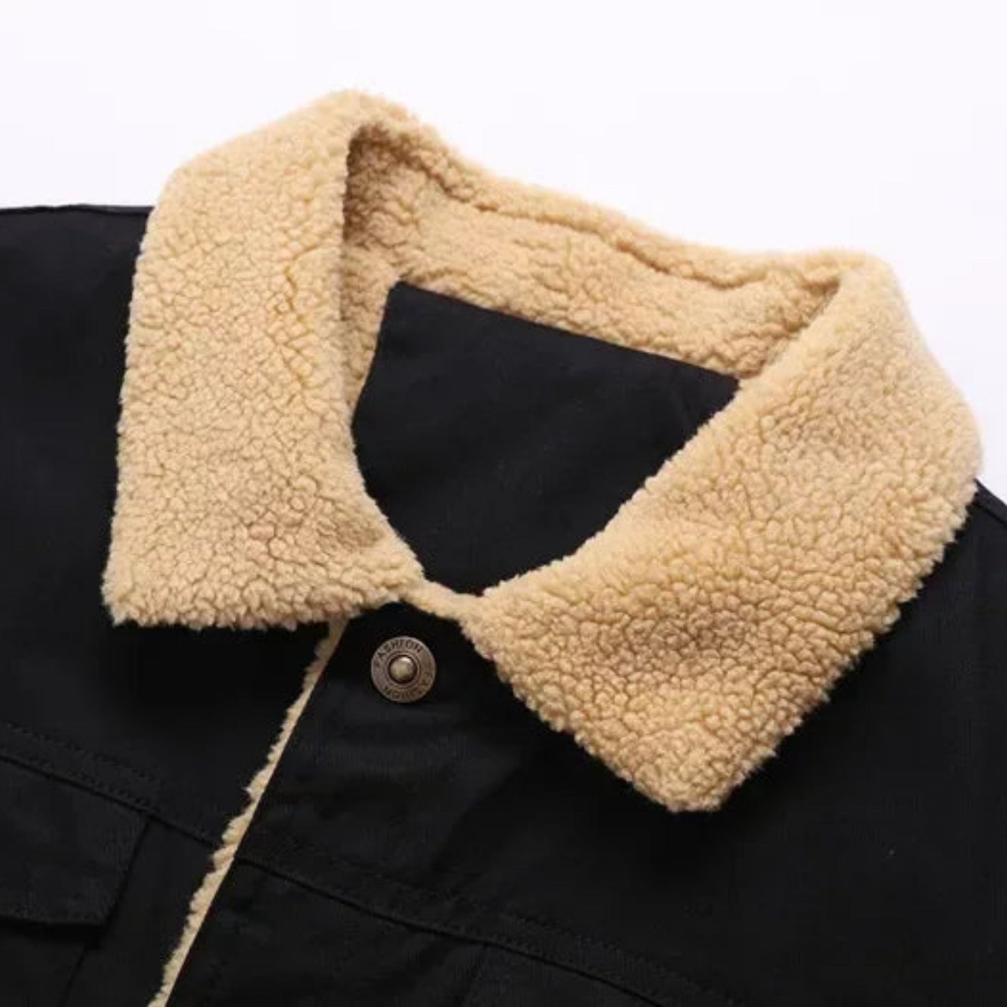Ardwijn | Heren Winterjas | Button-Up