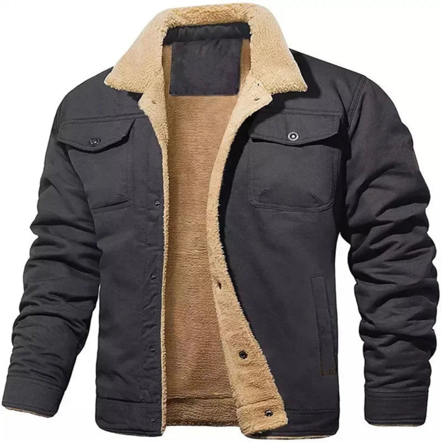 Ardwijn | Heren Winterjas | Button-Up