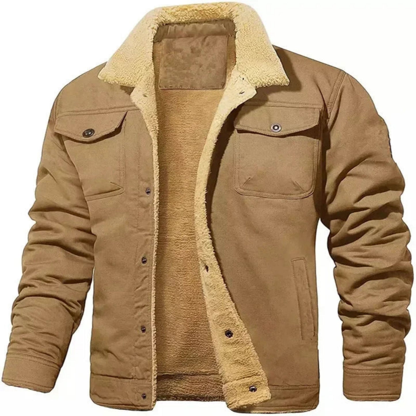 Ardwijn | Heren Winterjas | Button-Up