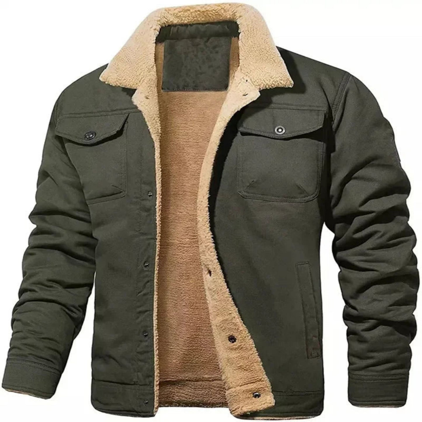 Ardwijn | Heren Winterjas | Button-Up