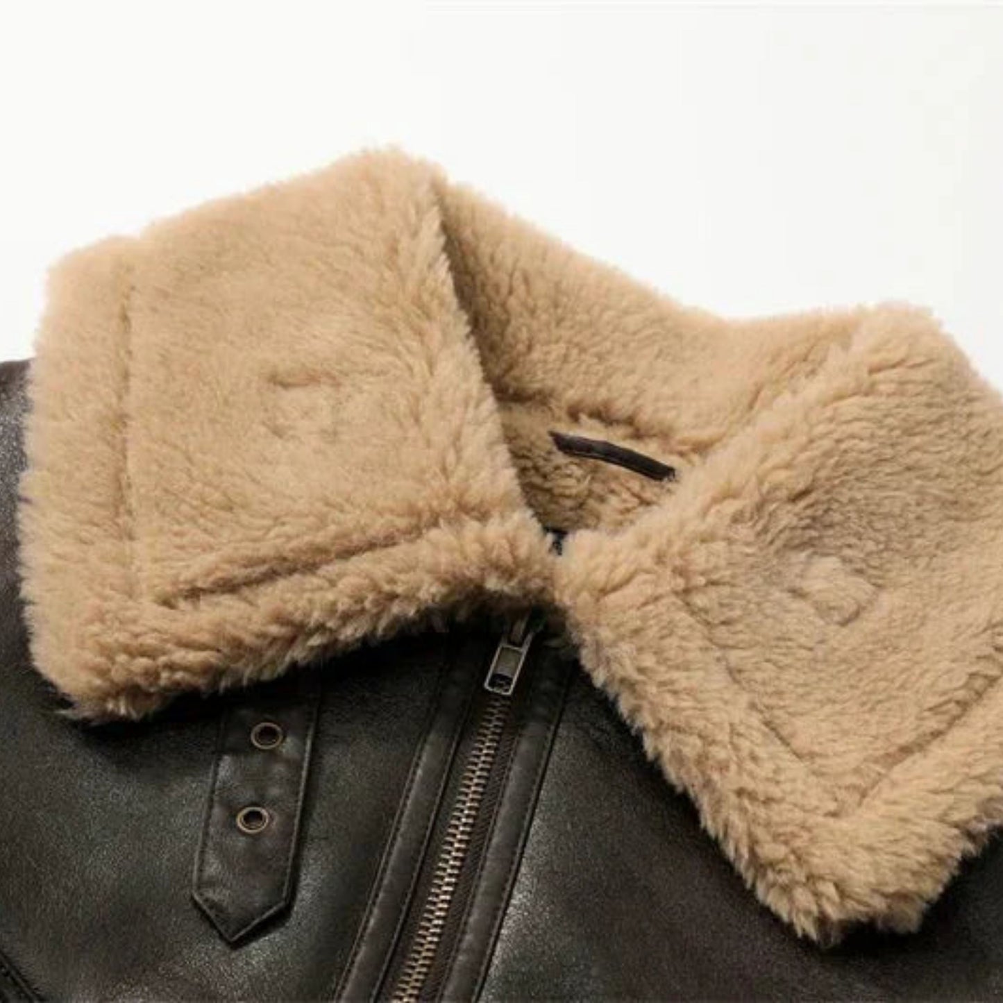 Everlotte | Dames Winterjas | Kort