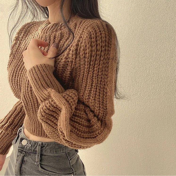 Loulou | Gebreide Cropped Trui