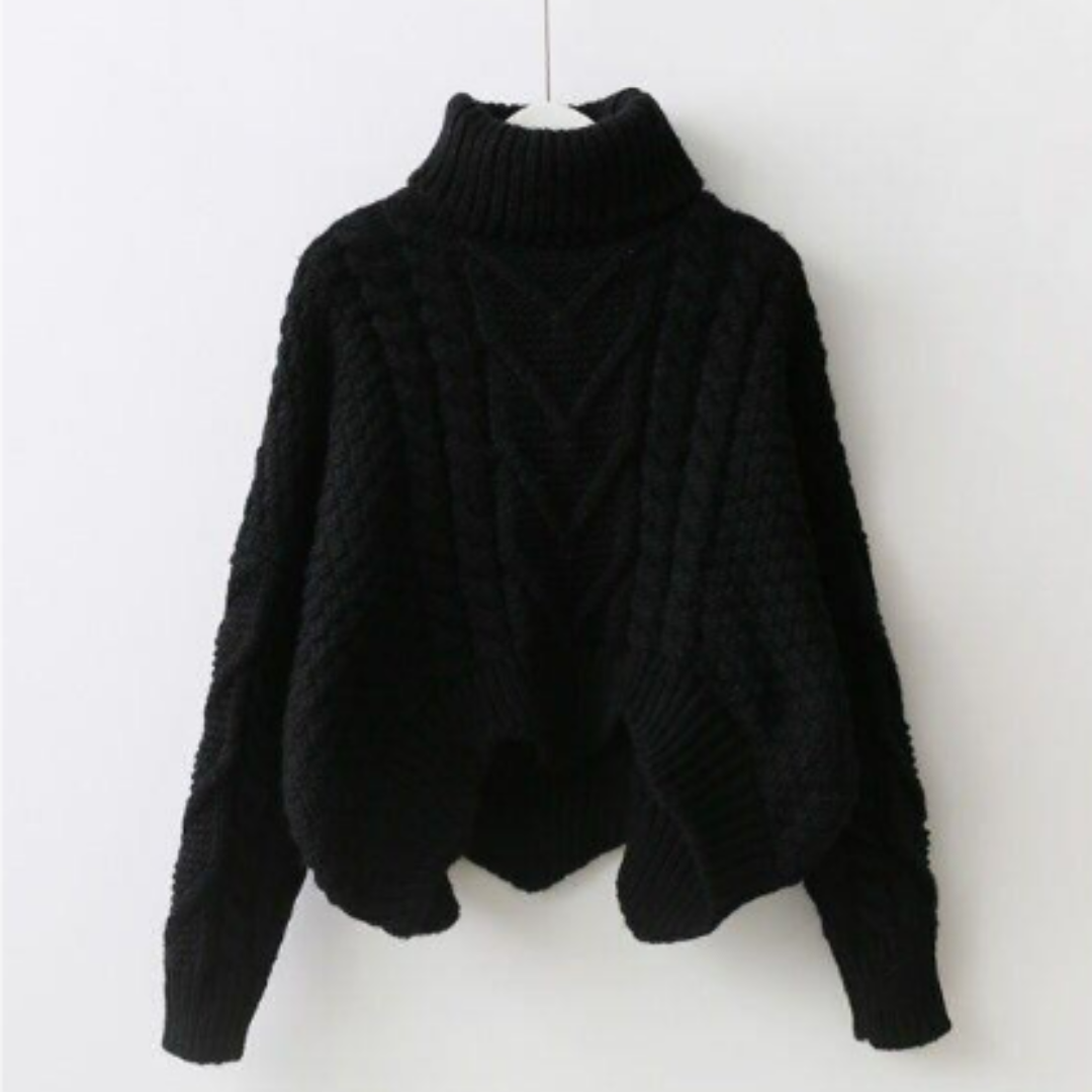 Anemoon | Stijlvolle Turtleneck Trui Dames