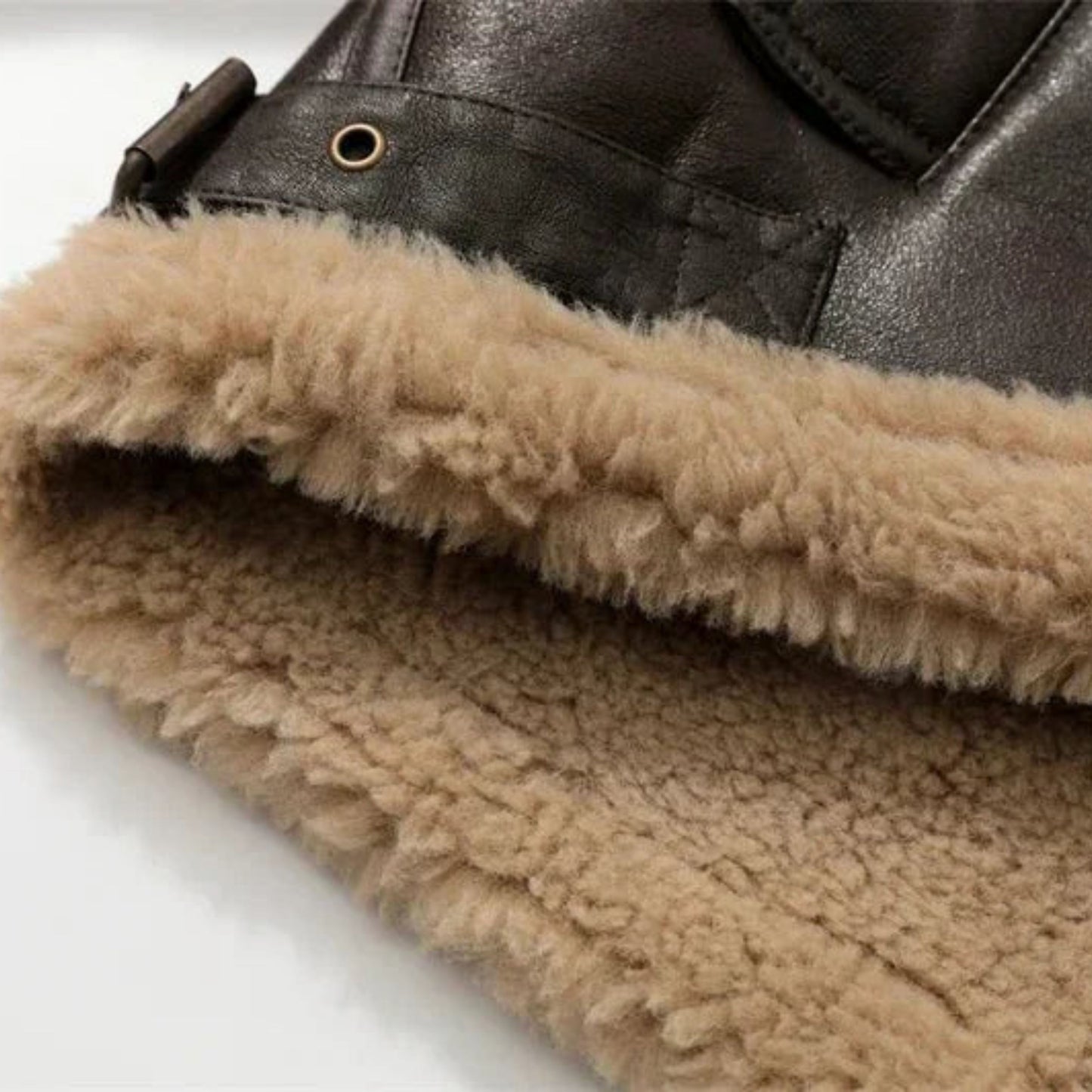 Everlotte | Dames Winterjas | Kort