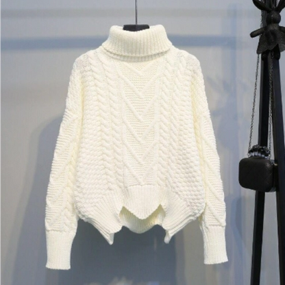 Anemoon | Stijlvolle Turtleneck Trui Dames